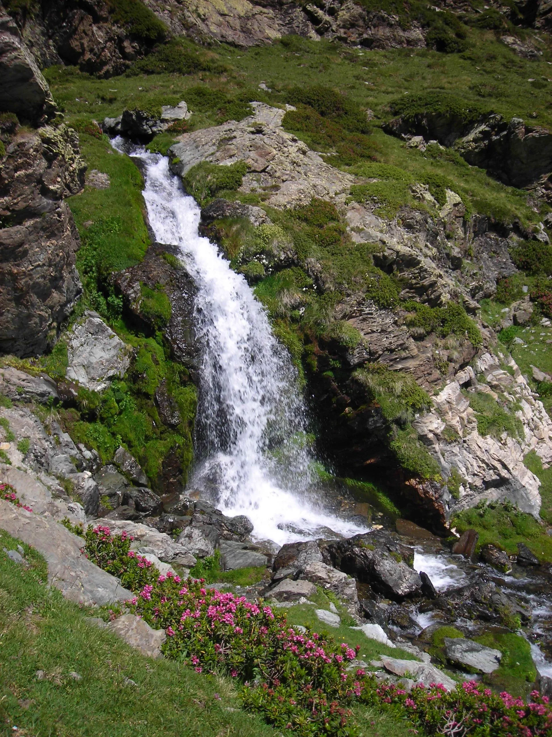 Torrent de la Coma de l'Embut