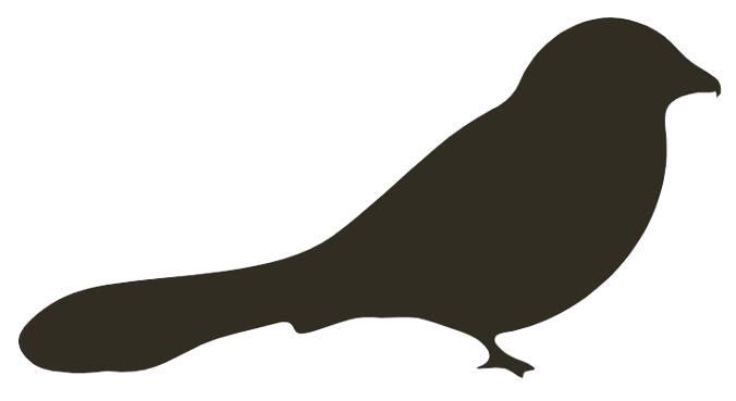 Lanius